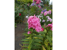 ��������� *)