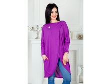 �66 �������� 590 p