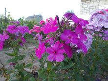 �������� *)