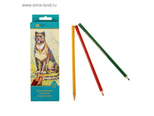 ��������� 18 ������ ��������� ����. ����� �����, �����������, ����� 175��, ok 6.9�� ���.1456755 ���� 79,08 ��� ���.3 ��.jpg