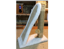 ���������� "�����"