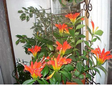 ���������� �������� ���� ������....������ �������� ..