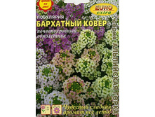 ��������� ��������� �����.jpg