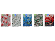 ������ �����.bmp