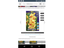 Screenshot 20180209-151619.png