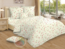 ��� ���� 127 -2 ��..jpg