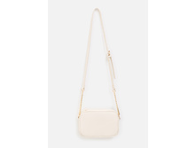 20206100065   Dove          (    ).jpg