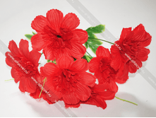 �������� NARC-7-42-6-M.png