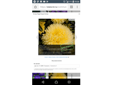 Screenshot 20180220-193629.png