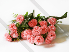 �������� GVOZDIKI-17-43-5-M.png