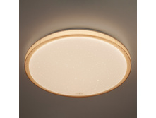 Svetodiodnyy-potolochnyy-svetilnik-40015-1-led-00000082332 0001.jpg