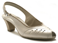 ����� ����: 1600