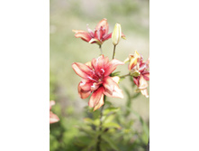 2016 ��� (10).JPG