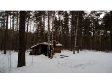 IMG 20180324 122226.jpg