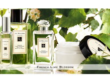 JO MALONE FRENCH LIME BLOSSOM ������ �������� 100 ��.	7569