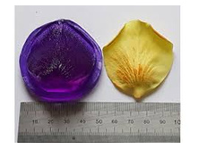 �������� ���� �������� �.jpg