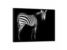 2078 ������ � ����� - 150�