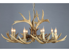 52003-08 19150�.JPG