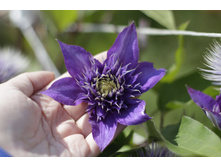 2016 ��� (18).JPG