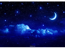 WS0478:360:254 �������� ���� - 950�.jpg