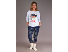 ������ ���� (��������) (���.2-219), 480 ���.