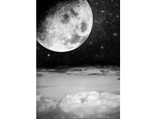 WS0474:180:254 ��� �� ���� - 600�.jpg