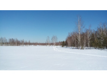 IMG 20180311 115703.jpg