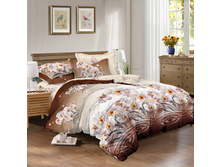 ������ ������� (���������� 70232).jpg