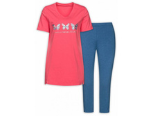 PFAML6729 �������� ������� (1 �� � ���.)