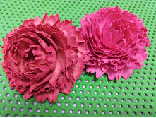 IMG 20180131 135736.jpg