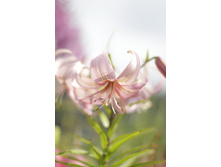 2016 ��� (13).JPG