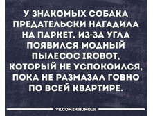 27356260 10157021705669622 1617568828376927465 o.jpg