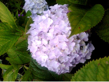 2015-07-22 20.42.33.jpg