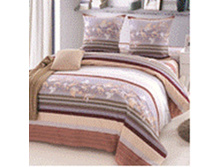 BZ Terri SINGLE P.jpg