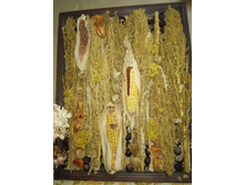 IMG 20171124 192440.jpg