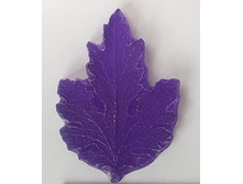 ���� �������.jpg