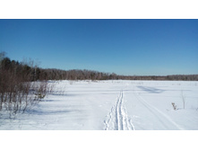 IMG 20180309 113935.jpg