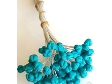 ������� ��� ����� ������.jpg