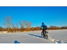 P 20180308 163048-01.jpeg