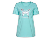 DFT6729 �������� ������� (1 �� � ���.)