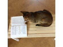 ��� �ޣ���