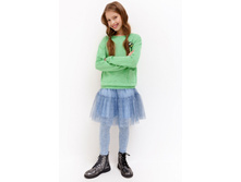 20210180069   Lepus   ������� preview.jpeg