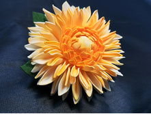 IMG 20180110 163303.jpg