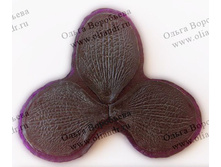 ������ �����.jpg