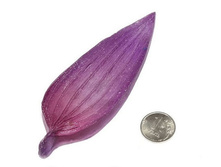 ���� ����� �.jpg