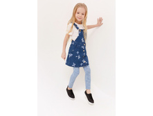 20220160154   Gemini   ������� preview.jpeg