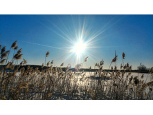 P 20180308 162654 HDR-01.jpeg