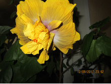 IMG 4814.JPG