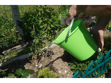 ����� ������������� PROTEX "�������" 10 ������, 80 ���