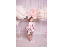 ���. ����